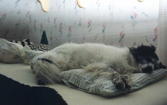 Cora im Bett 1