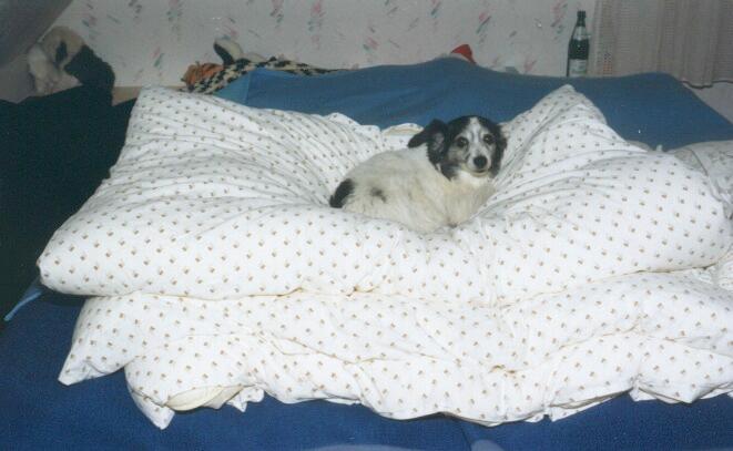 Cora im Bett 3
