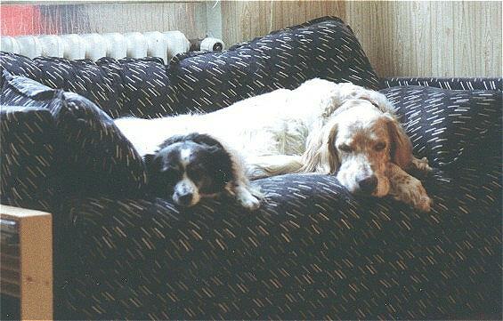 Cora mit Jaro auf der Couch