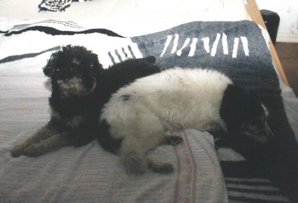 Cora und Felix