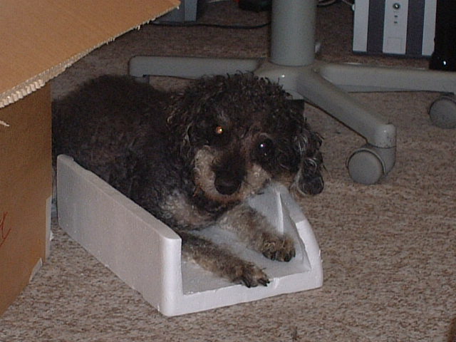 Felix027 Felix027