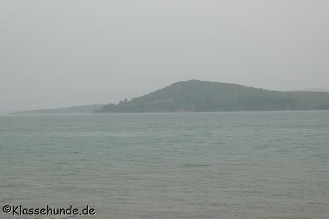 P1180742