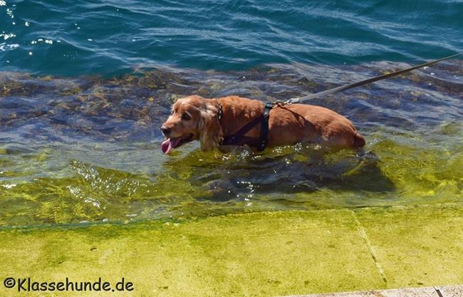 Urlaub2016 0367