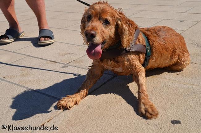 Urlaub2016 0377