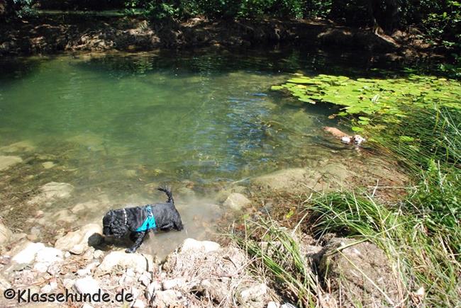 Urlaub 2016 0184