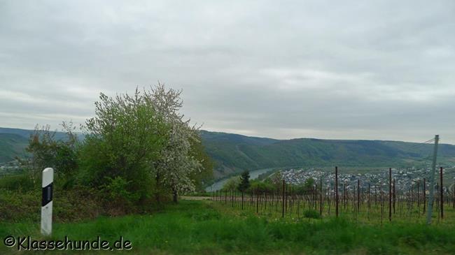 P1200717
