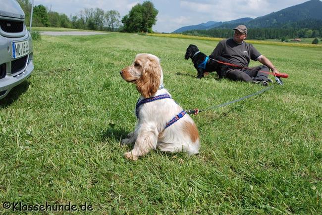 Nesselwang 2017 0374