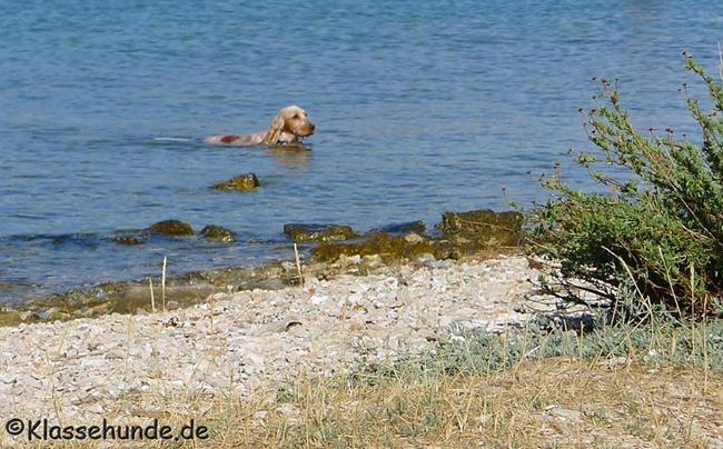 Urlaub2017 0048 