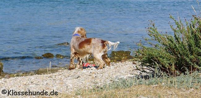 Urlaub2017 0051 