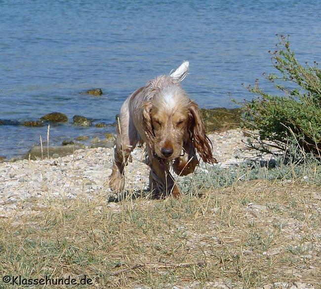 Urlaub2017 0052 