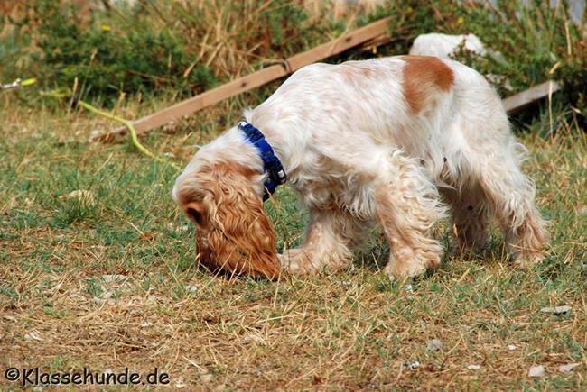 Urlaub2017 0086 