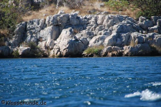 Urlaub2017 0708 