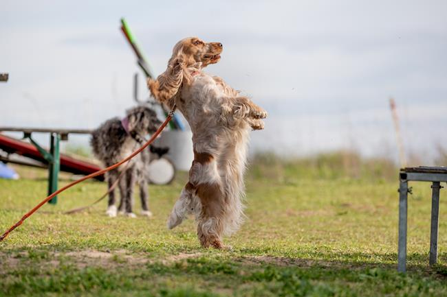 Foto 15 Jannik Reinecke 25. April 2019