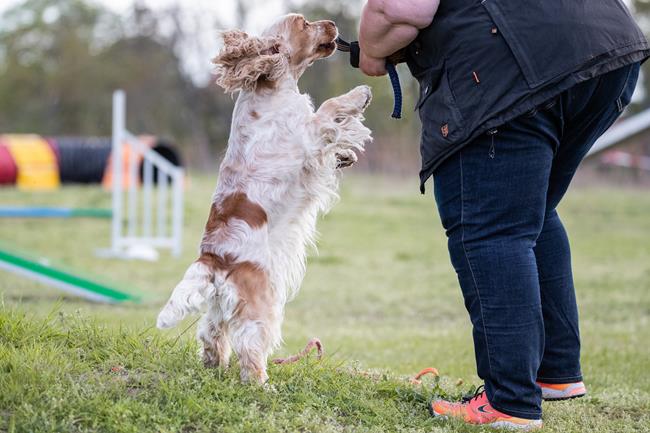 Foto 41 Jannik Reinecke 25. April 2019