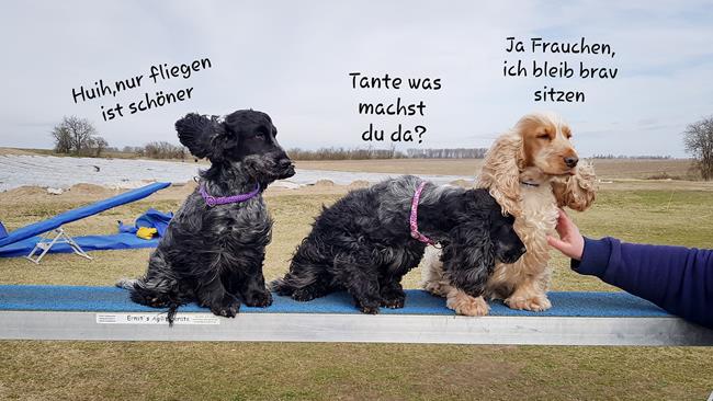 Steg Talk 01