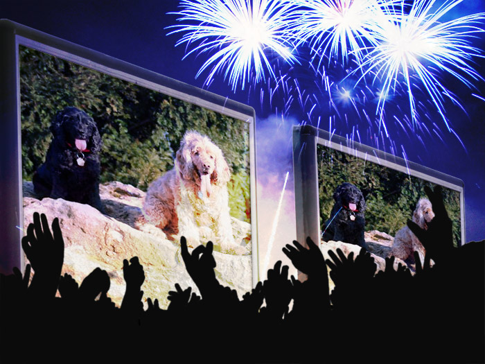 Silvester 2015