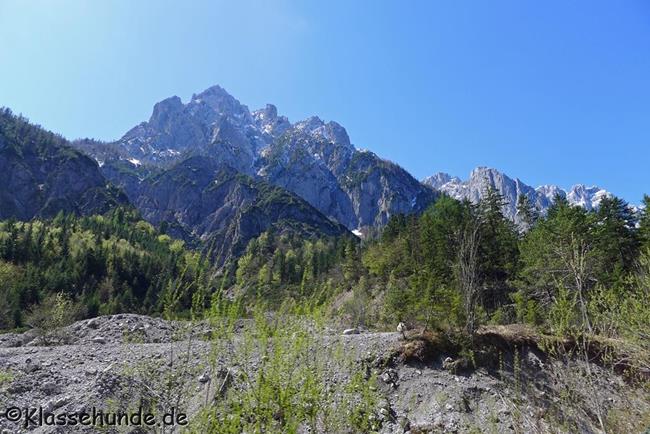 Walchsee Mai16 0002