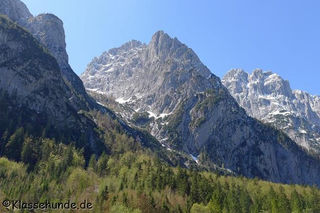 Walchsee Mai16 0008