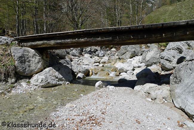 Walchsee Mai16 0011