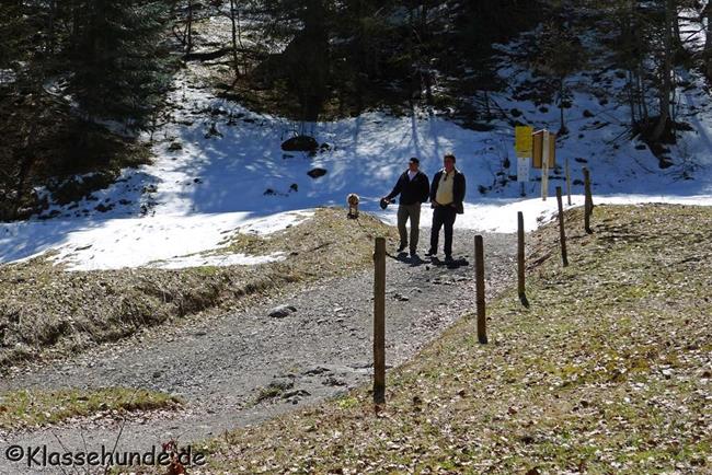 Walchsee Mai16 0019