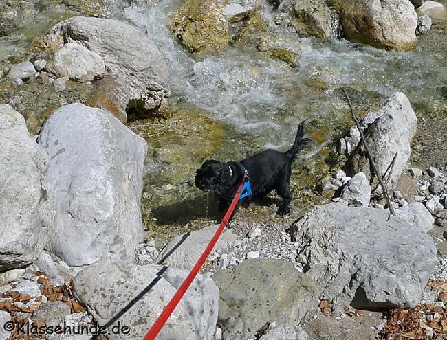 Walchsee Mai16 0022