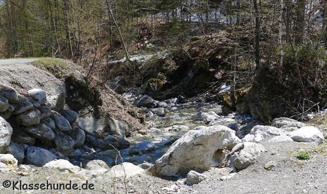 Walchsee Mai16 0024