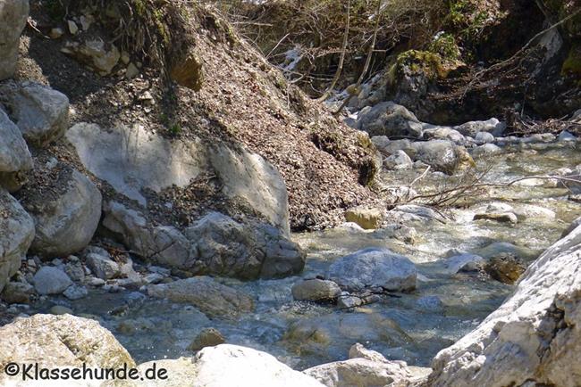 Walchsee Mai16 0029