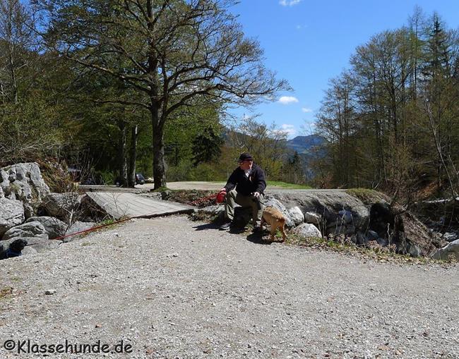 Walchsee Mai16 0042