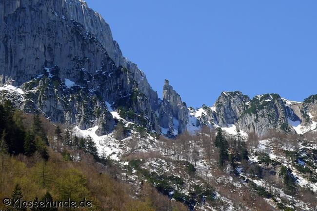 Walchsee Mai16 0049