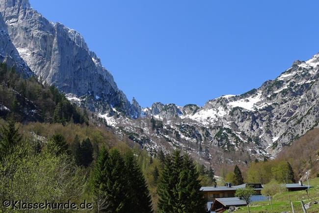 Walchsee Mai16 0050