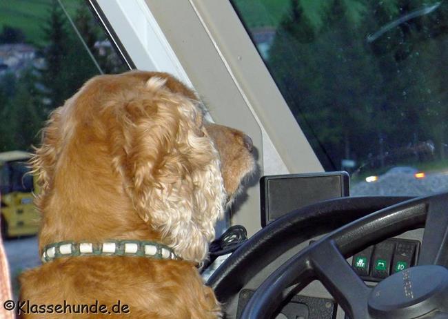 Urlaub 2015 0028