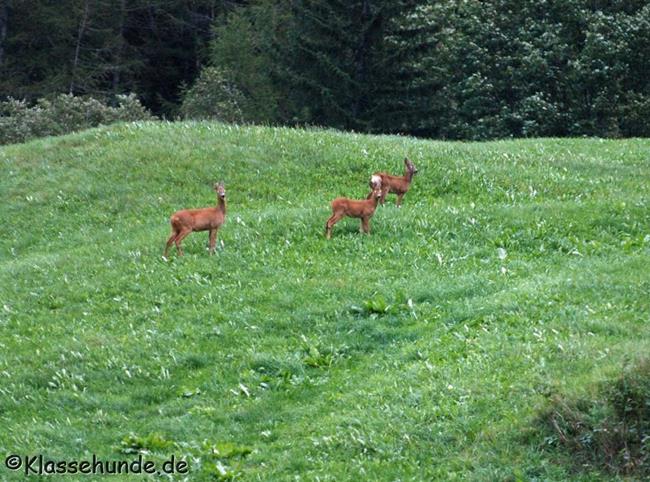 Urlaub 2015 0031