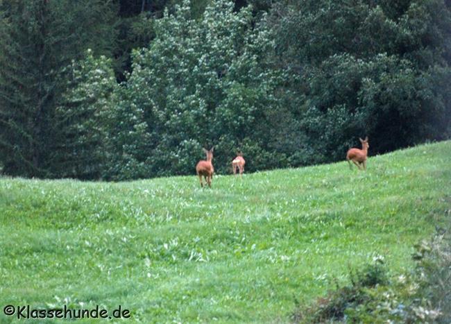 Urlaub 2015 0033