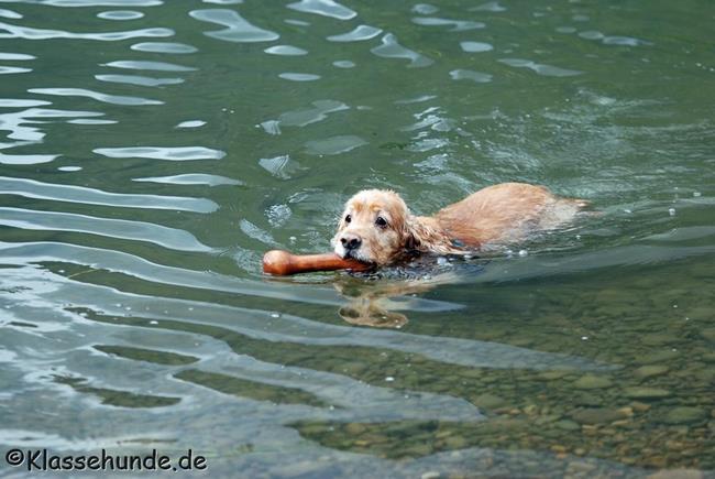 Urlaub 2015 0055