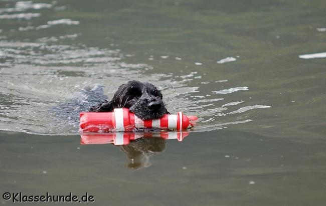 Urlaub 2015 0158