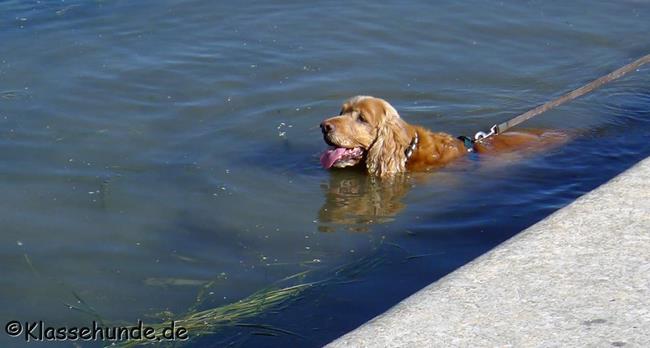 Urlaub 2015 0750