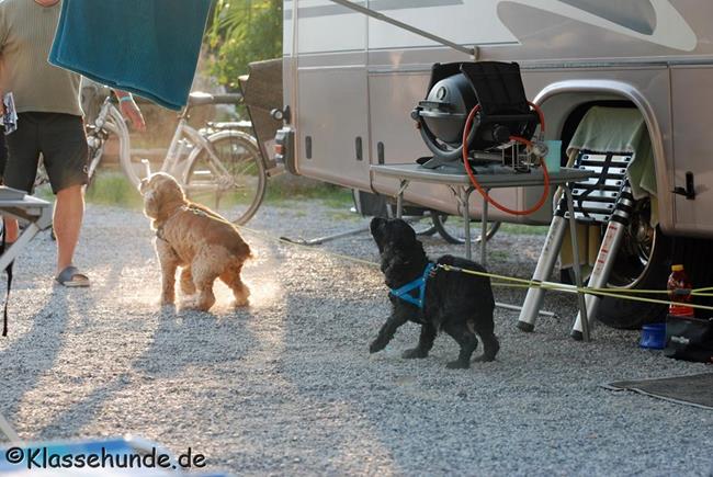 Urlaub 2015 0773