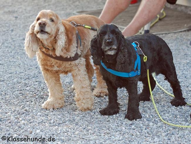 Urlaub 2015 0797